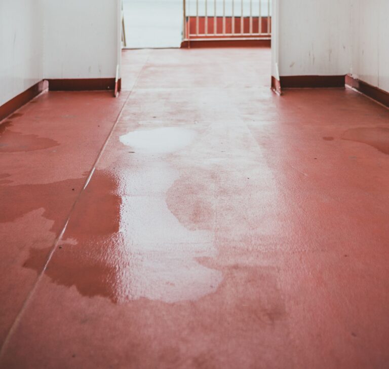 A ship's passageway with a wet red floor leading to an open sea view through a door.